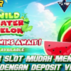 Link Slot Mudah Menang Bermain Game Wild Water Melon Hanya Dengan Deposit Via Dana